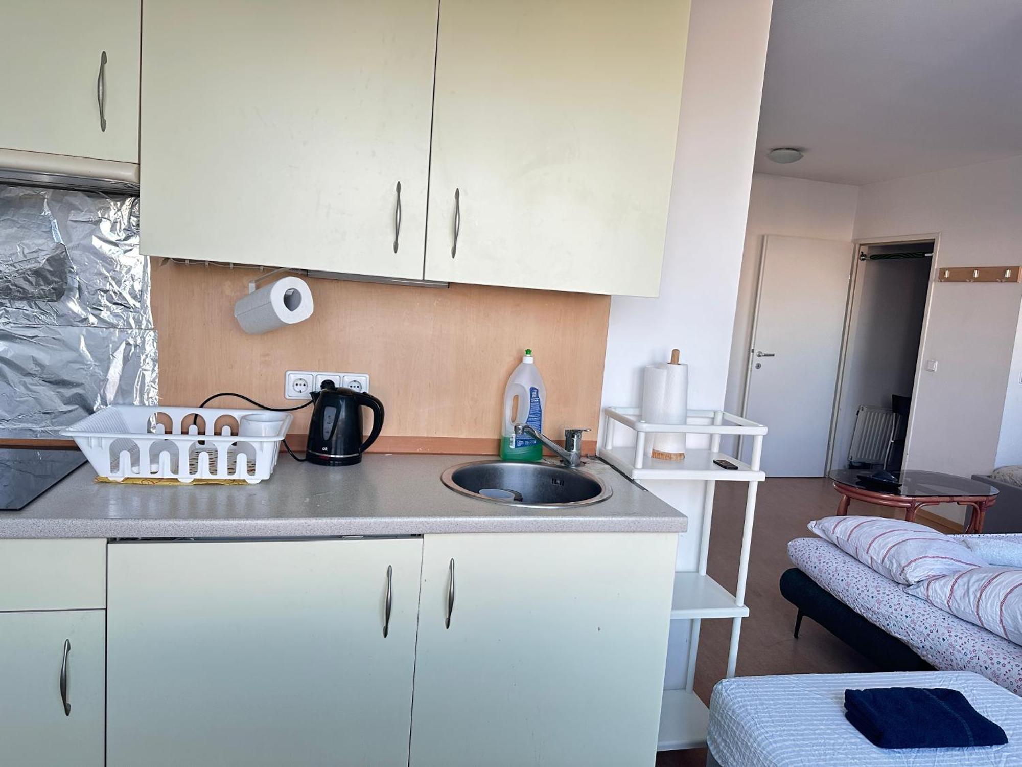 Appartamento Cozy Bright Penthouse Close To U1 And U6 Metros *